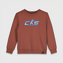 Свитшот хлопковый детский CS2 blue logo, цвет: кирпичный