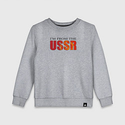 Свитшот хлопковый детский Im from the USSR, цвет: меланж