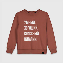 Свитшот хлопковый детский Умный, хороший, классный Виталий, цвет: кирпичный