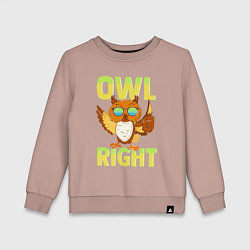 Свитшот хлопковый детский Owl right - каламбур отлично, цвет: пыльно-розовый