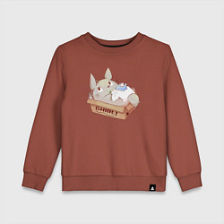 Детский свитшот Ghibli Totoro