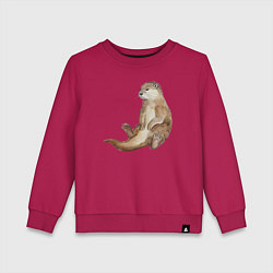 Свитшот хлопковый детский Выдра сидит, цвет: маджента