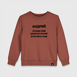 Свитшот хлопковый детский Андрей оригинальная версия, цвет: кирпичный