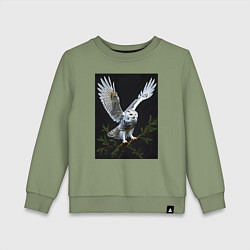 Свитшот хлопковый детский Белая сова на дереве, цвет: авокадо