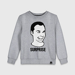 Свитшот хлопковый детский Sheldon surprise, цвет: меланж