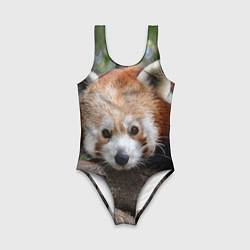 Купальник для девочки Красная панда, цвет: 3D-принт