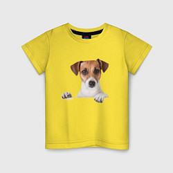 Футболка хлопковая детская Собака, цвет: желтый