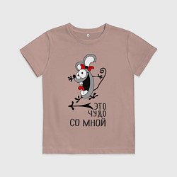 Футболка хлопковая детская Крэзи, цвет: пыльно-розовый