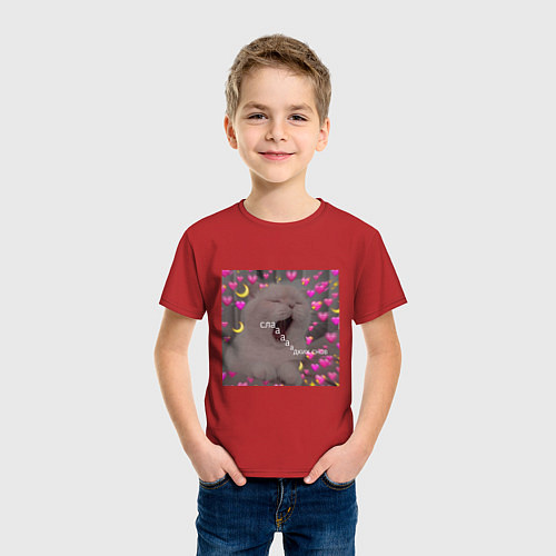 Детская футболка Мем котик / Красный – фото 3