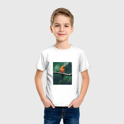 Детская футболка Попугай сидит на ветке / Белый – фото 3