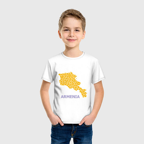 Детская футболка Golden Armenia / Белый – фото 3
