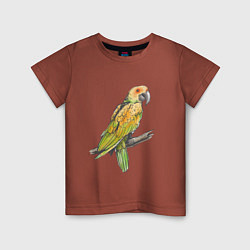 Футболка хлопковая детская Любимый попугай, цвет: кирпичный