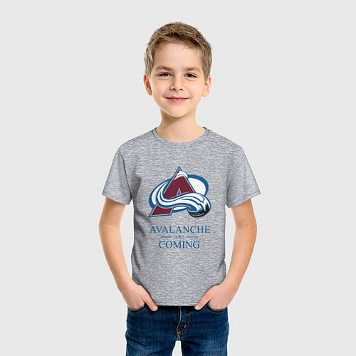 Детская футболка Colorado Avalanche are coming , Колорадо Эвеланш / Меланж – фото 3