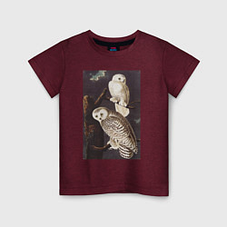 Футболка хлопковая детская Snowy Owl Сова, цвет: меланж-бордовый