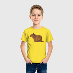 Футболка хлопковая детская Капибара сидит и спит, цвет: желтый — фото 2