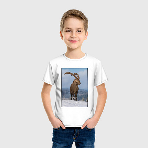 Детская футболка Горный козел на снежной горе / Белый – фото 3