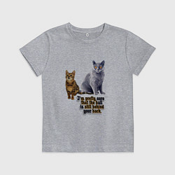 Футболка хлопковая детская Кошку легко обмануть, цвет: меланж