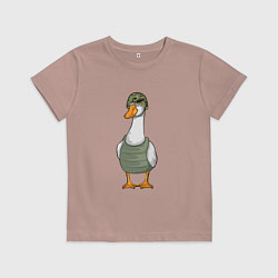 Футболка хлопковая детская Гусь воин, цвет: пыльно-розовый