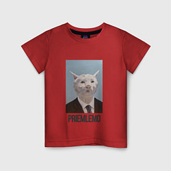 Футболка хлопковая детская Приемлемо - кот мем в живописи, цвет: красный