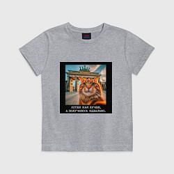 Футболка хлопковая детская Рыжий кот: хотел как лучше получилось идеально, цвет: меланж