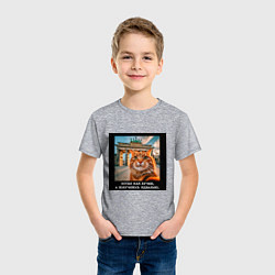 Футболка хлопковая детская Рыжий кот: хотел как лучше получилось идеально, цвет: меланж — фото 2