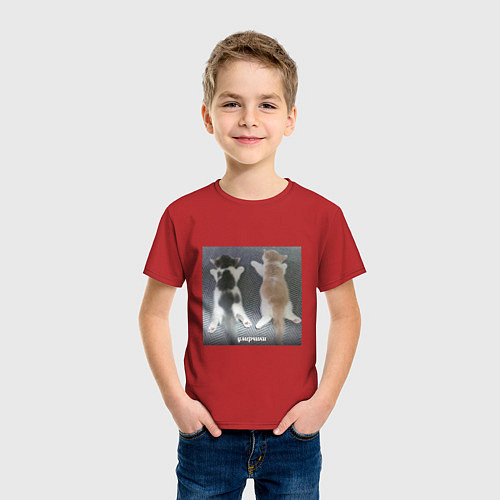 Детская футболка Мемные коты умерчики / Красный – фото 3