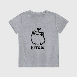Футболка хлопковая детская Милая смешная лягушка штош, цвет: меланж