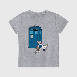 Футболка хлопковая детская Пинки и Брейн возле тардиса, цвет: меланж