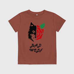 Футболка хлопковая детская Bad Wolf, цвет: кирпичный