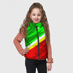 Детский жилет Расцветка Зеленоградского флага, цвет: 3D-светло-серый — фото 2