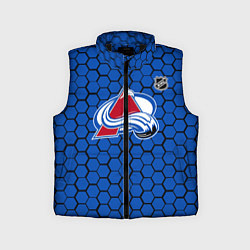 Детский жилет Колорадо Эвеланш - синие соты, цвет: 3D-черный
