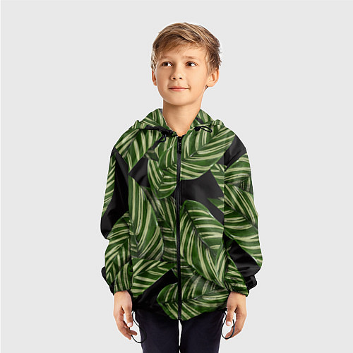 Детская ветровка Тропические большие листья / 3D-Черный – фото 3