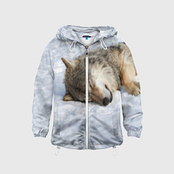 Ветровка с капюшоном детская Спящий Волк, цвет: 3D-белый
