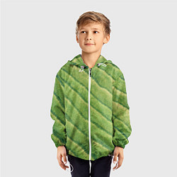 Ветровка с капюшоном детская Травяной паттерн, цвет: 3D-белый — фото 2