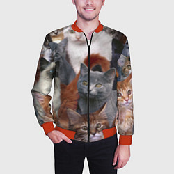 Бомбер мужской КОТЯТКИ, цвет: 3D-красный — фото 2