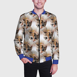 Бомбер мужской Маленький котенок паттерн, цвет: 3D-синий — фото 2