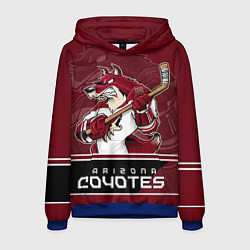 Толстовка-худи мужская Arizona Coyotes, цвет: 3D-синий