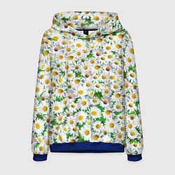 Толстовка-худи мужская Полевые ромашки, цвет: 3D-синий