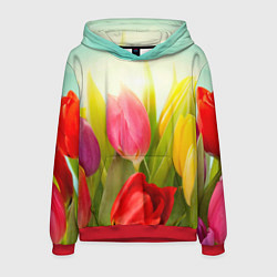 Толстовка-худи мужская Цветущие тюльпаны, цвет: 3D-красный
