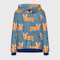 Толстовка-худи мужская Корги с бабочкой, цвет: 3D-синий