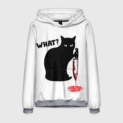 Толстовка-худи мужская What Cat, цвет: 3D-меланж