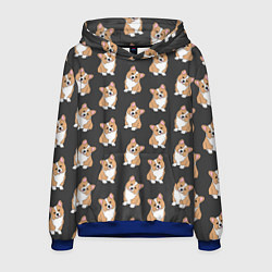 Толстовка-худи мужская Корги малыши, цвет: 3D-синий