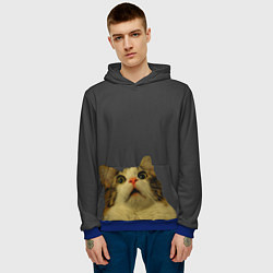 Толстовка-худи мужская Коте смотрит вверх, цвет: 3D-синий — фото 2