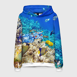 Толстовка-худи мужская Морской мир, цвет: 3D-белый