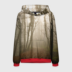 Толстовка-худи мужская Туманный лес на восходе, цвет: 3D-красный