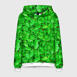 Толстовка-худи мужская Зелёные листья - текстура, цвет: 3D-белый