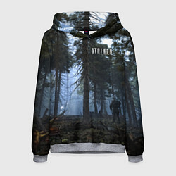Толстовка-худи мужская STALKER Лес и РЛС Дуга, цвет: 3D-меланж