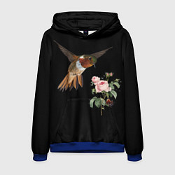 Толстовка-худи мужская Птицы колибри розы на черном фоне, цвет: 3D-синий