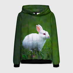 Толстовка-худи мужская Кролик на фоне травы, цвет: 3D-черный