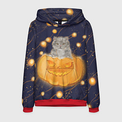 Толстовка-худи мужская Котик в тыкве, хеллоуин, цвет: 3D-красный